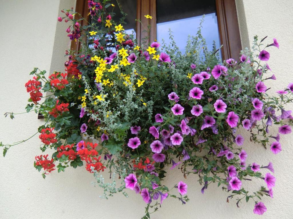 Haus Rye B&B Obertraun Chambre photo